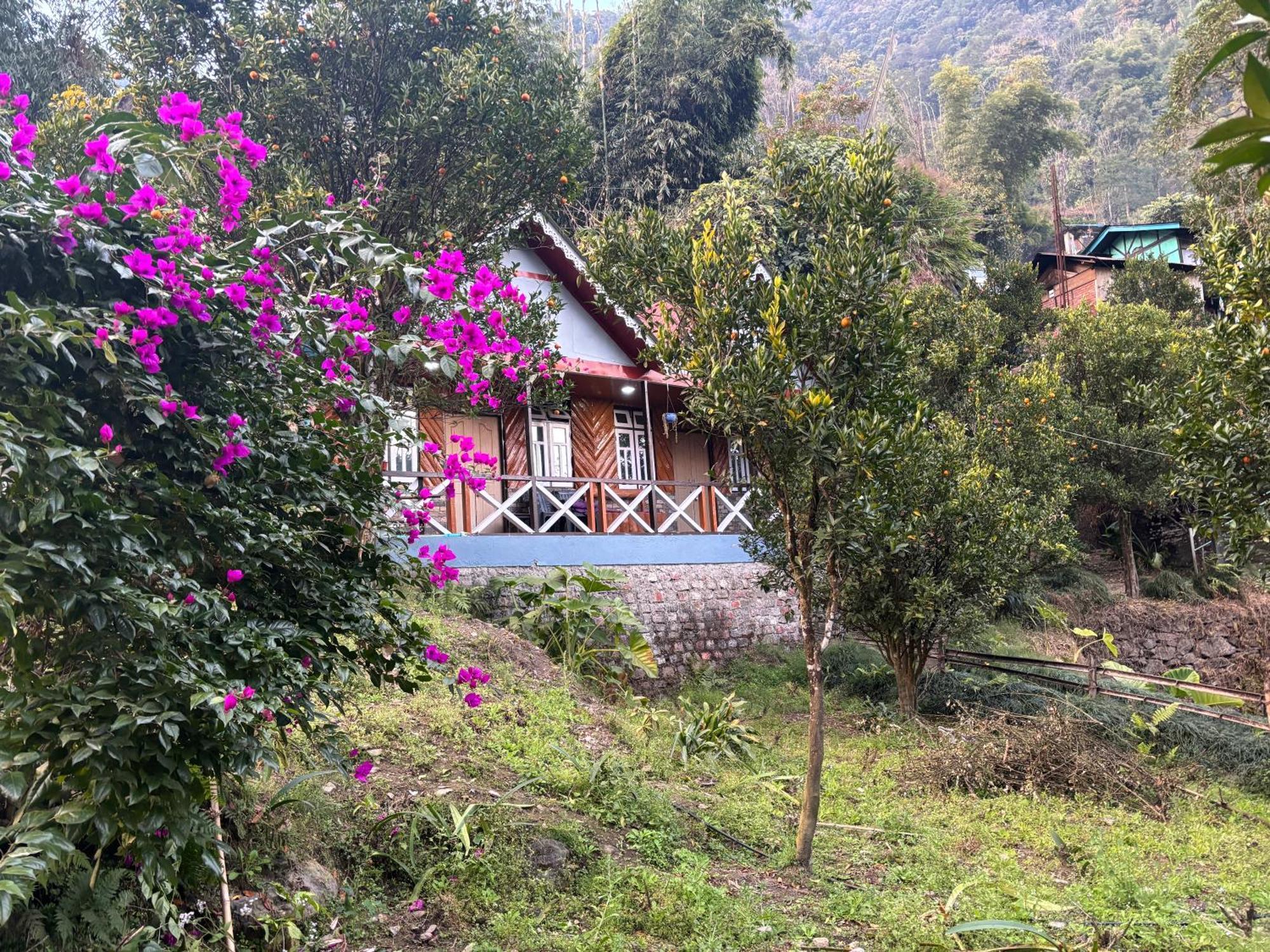 Odyssey Stays Rimbi Pelling Exterior photo