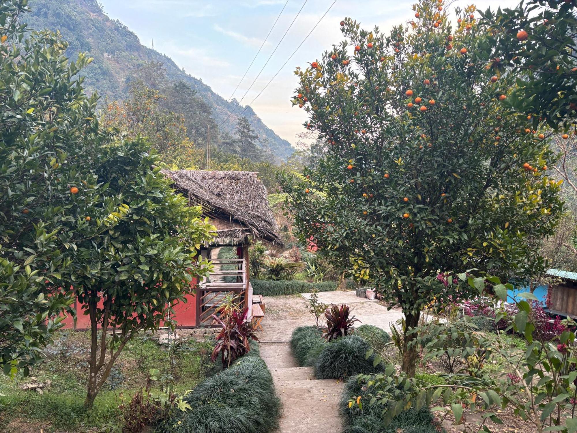 Odyssey Stays Rimbi Pelling Exterior photo